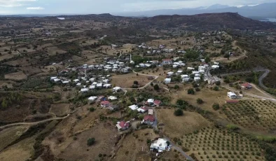 Manavgat’taki Orman Yangını Sonrası Doğa Yeniden Canlanıyor