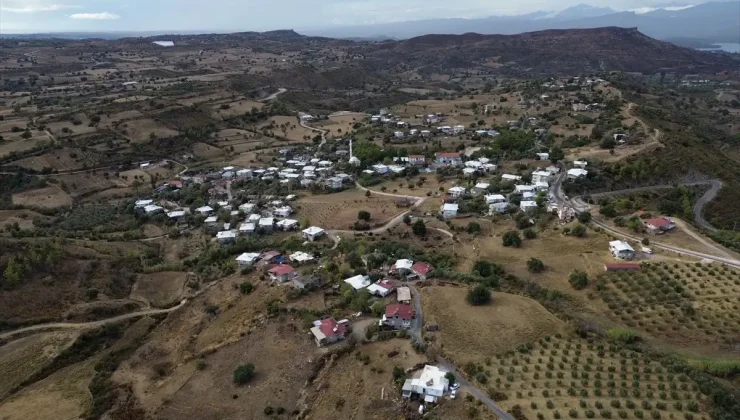 Manavgat’taki Orman Yangını Sonrası Doğa Yeniden Canlanıyor